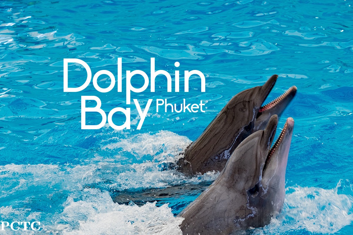 dolphins-bay-phuket-3231.jpg