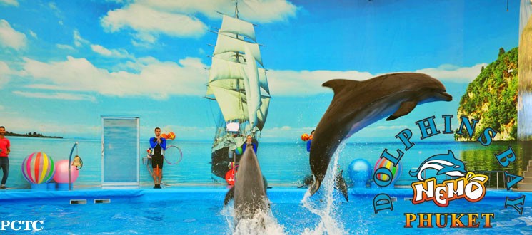 dolphins-bay-phuket-8252.jpg