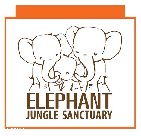 elephant-jungle-sanctuary-chiang-mai-4902.jpg