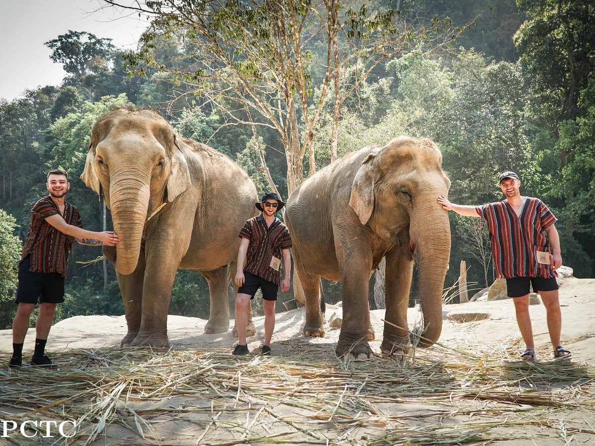 elephant-jungle-sanctuary-chiang-mai-5185.jpg