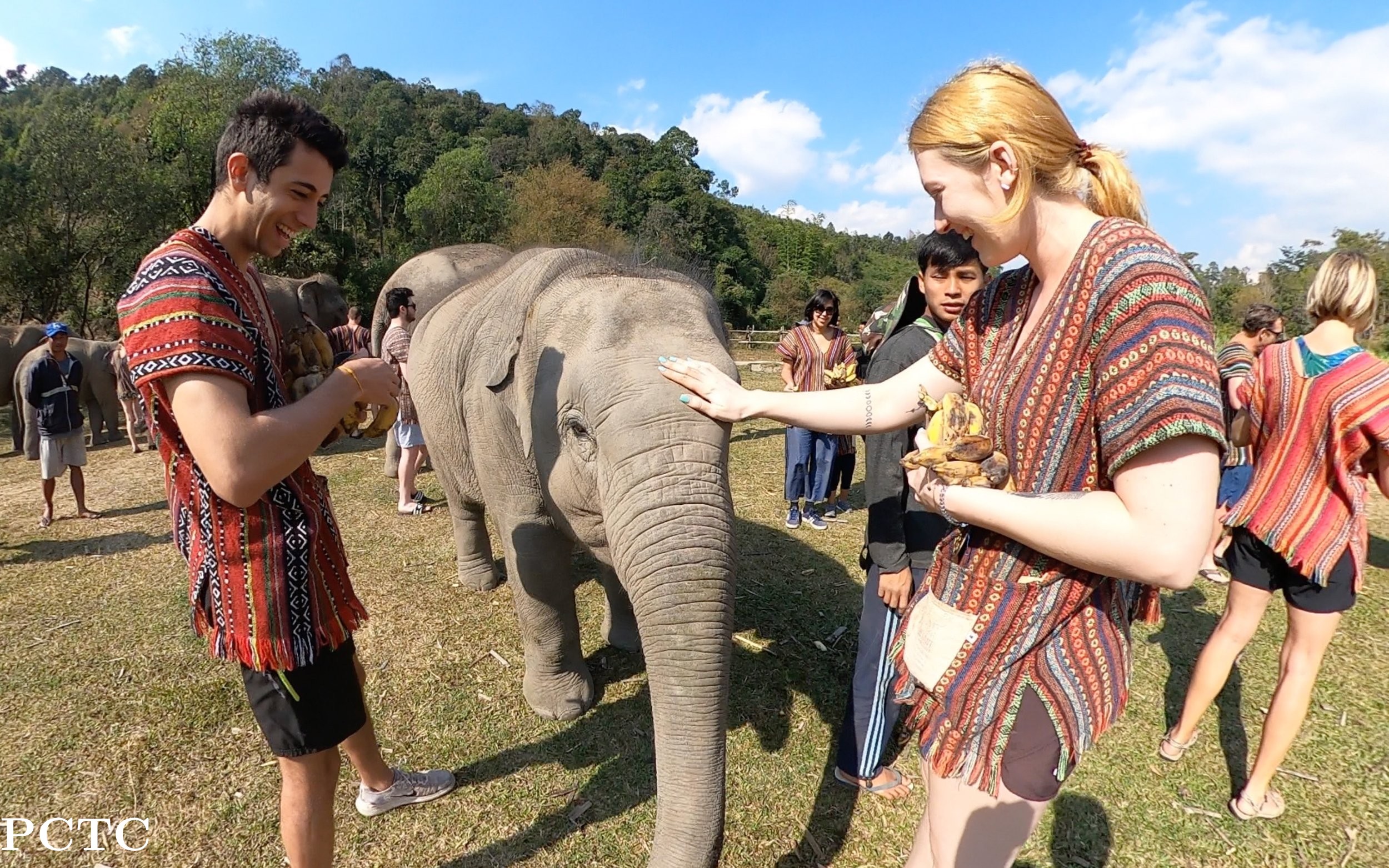 elephant-jungle-sanctuary-chiang-mai-7308.jpg