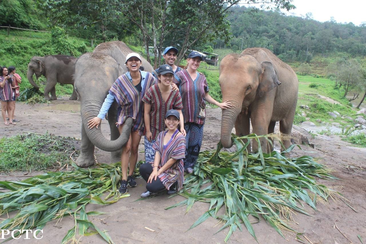 elephant-jungle-sanctuary-chiang-mai-8758.jpg