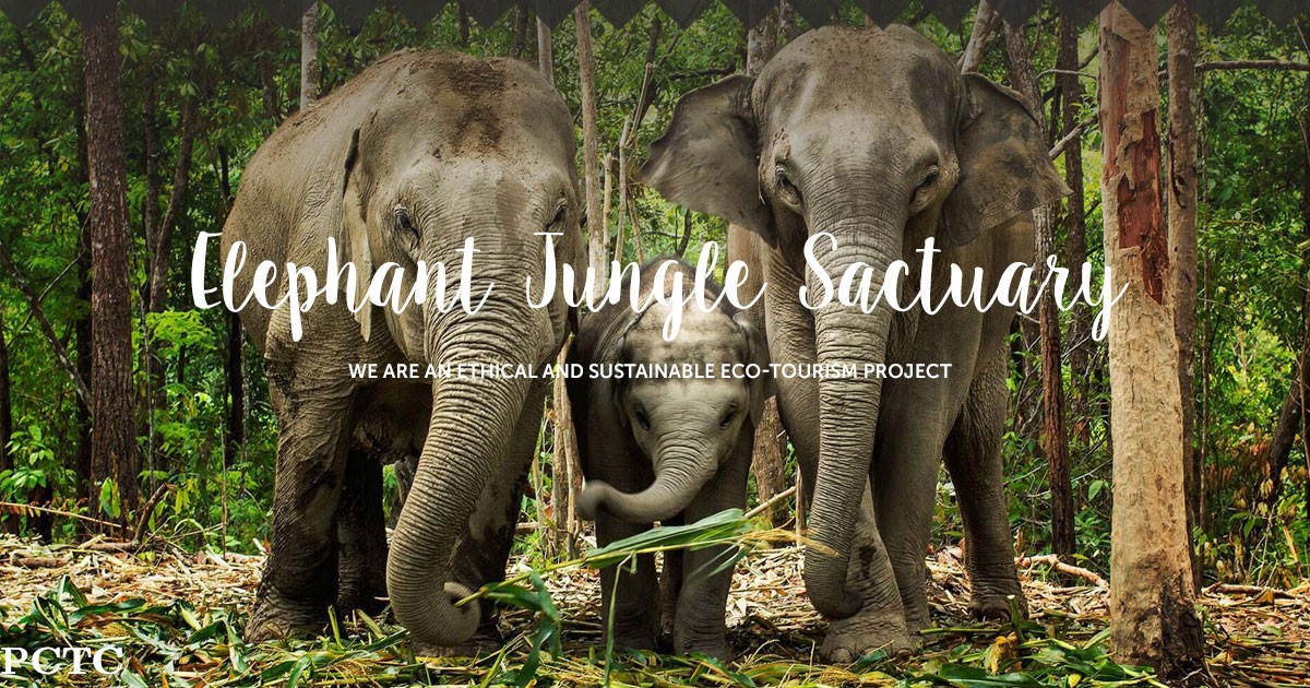 elephant-jungle-sanctuary-phuket-4005.jpg