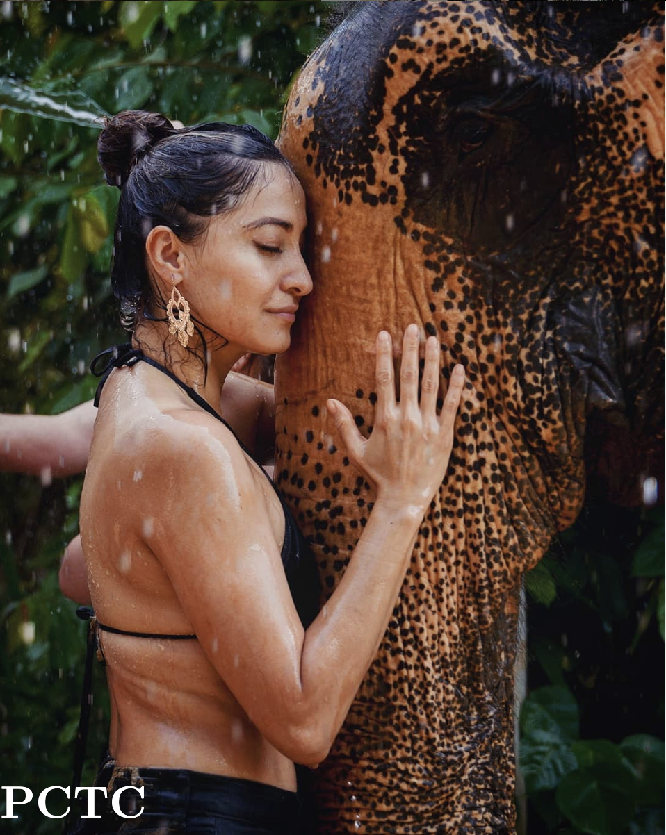 elephant-jungle-sanctuary-phuket-9621.png