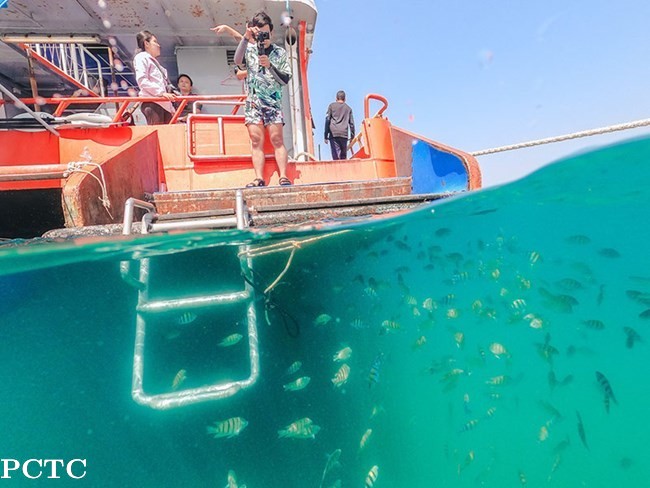 koh-larn-day-tour-by-speed-boat-from-pattaya-9200.jpg