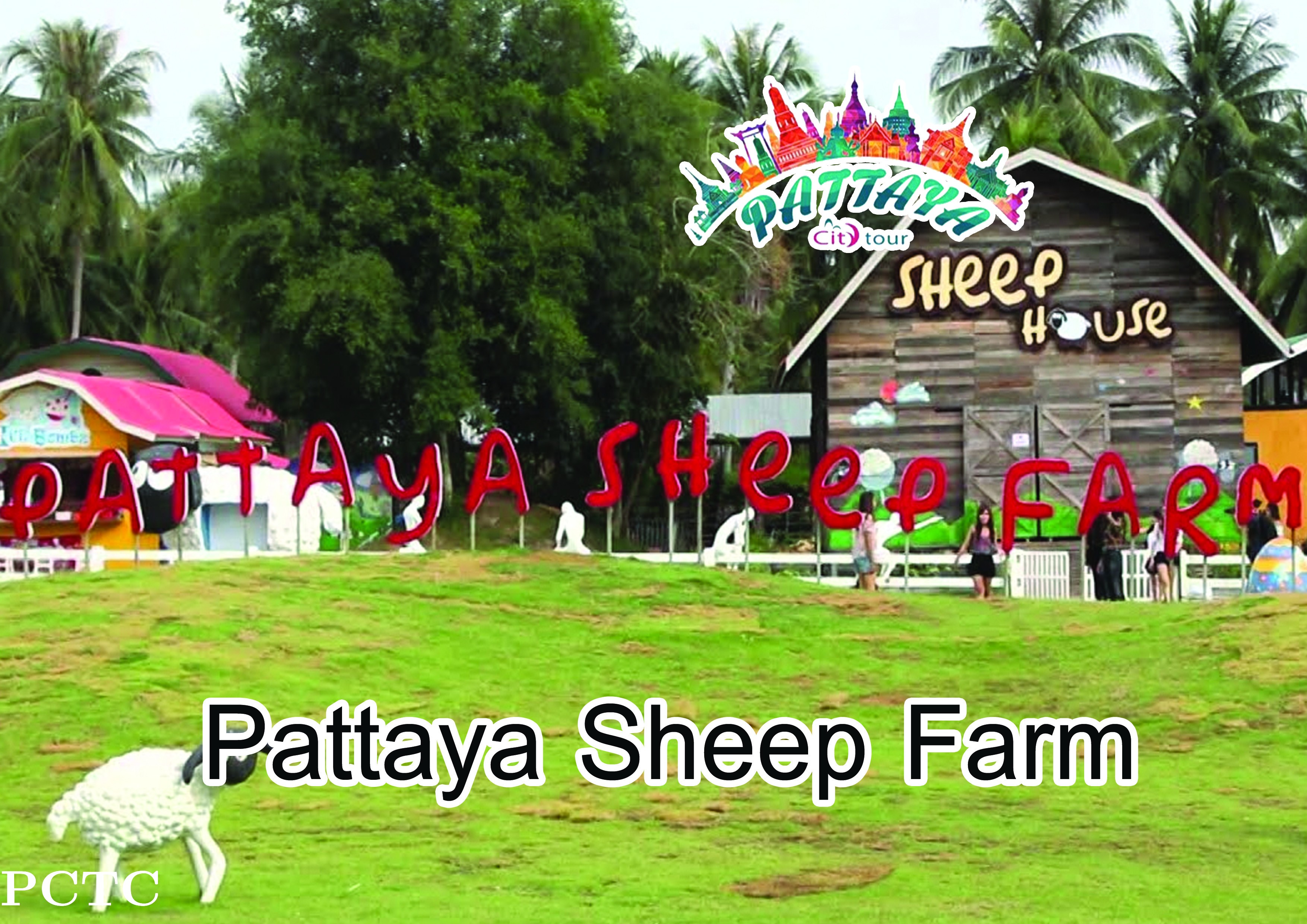pattaya-sheep-farm-family-park-pattaya-2783.jpg
