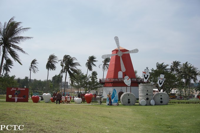 pattaya-sheep-farm-family-park-pattaya-6263.jpg
