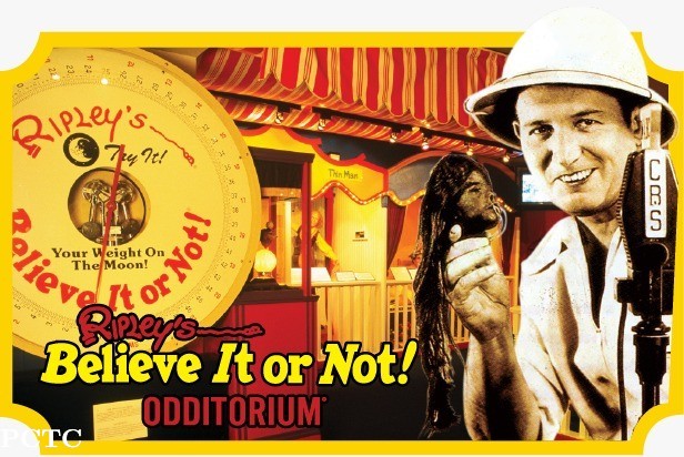 ripleys-believe-it-or-not-pattaya-8152.jpg