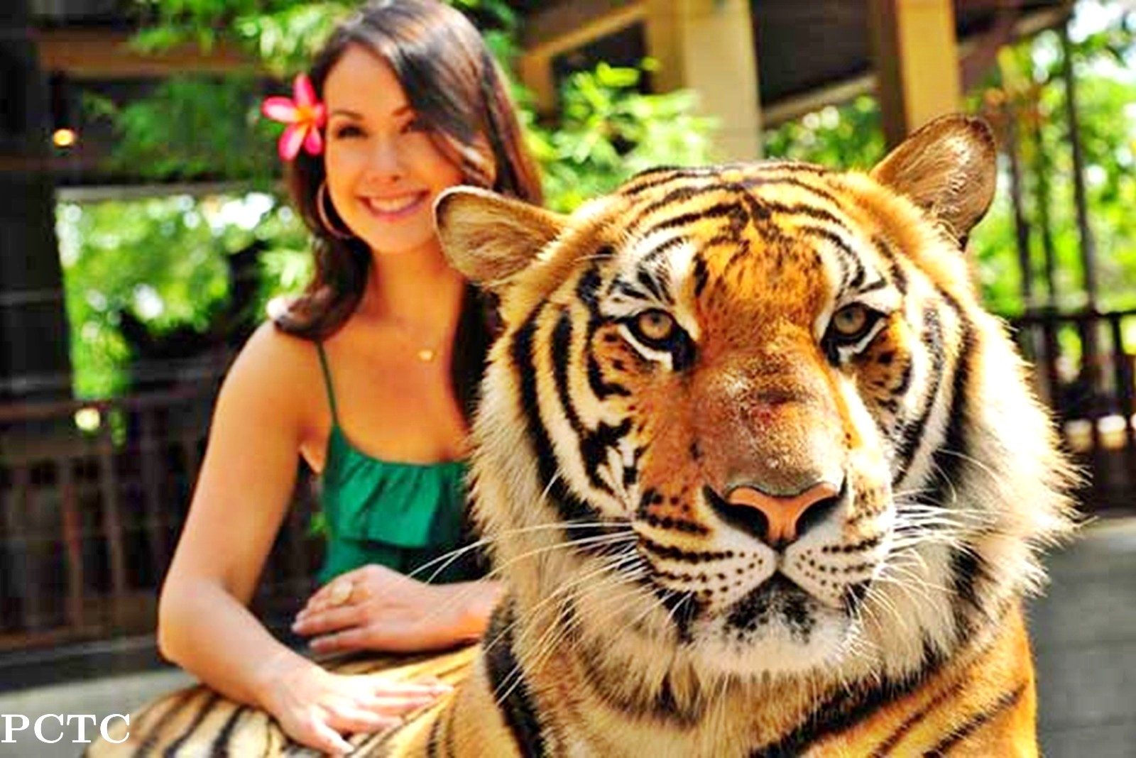 tiger-kingdom-phuket-4793.jpg