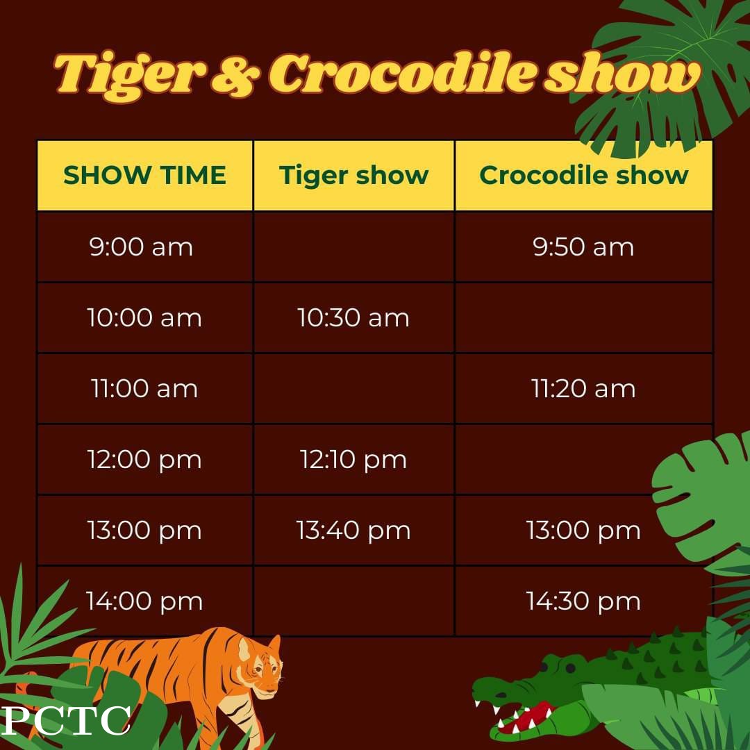 tiger-topia-sriracha-zoo-9562.jpg