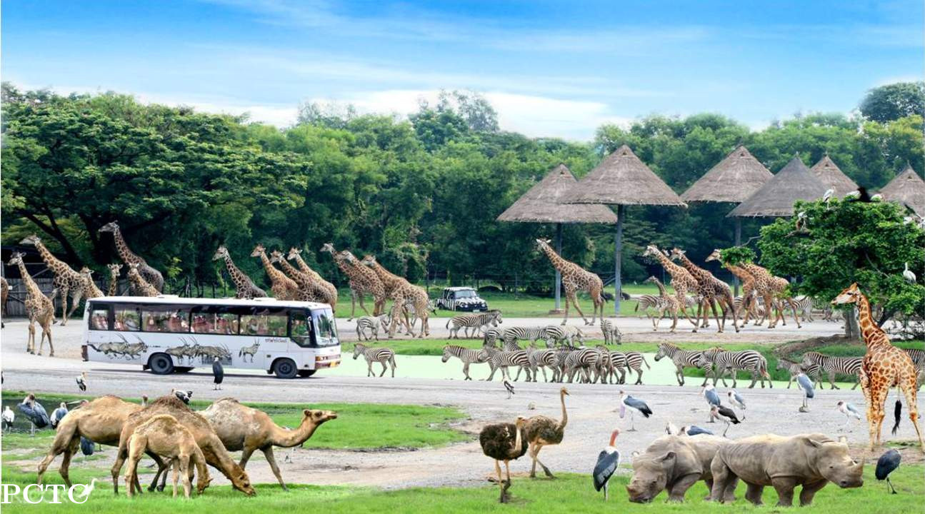 Tour Image
