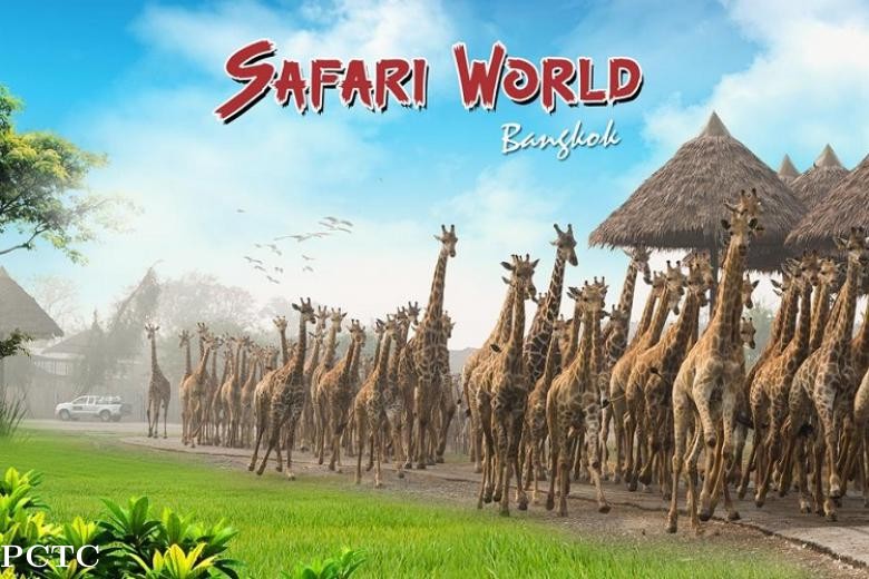 Safari Park + Marine park + Buffet Lunch + Bangkok Your Hotel To Private Hotel Transfer