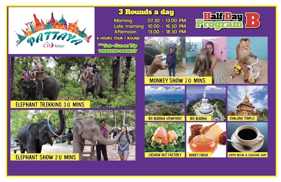 Program : B - Elephant Trekking + Elephant Show + Monkey Show + Chalong Temple + Big Buddha + Cashew Nut Factory + Honey Farm + Hotel Transfer