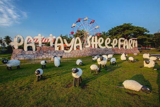 Entrance Ticket image