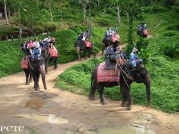 Program : C - ATV 30 Minutes + Elephant Trekking 30 Minutes + Photo With Elephant + Big Buddha View Point + Chalong Temple + Cashew Nut Factory + Honey Farm + Coffee Break & Souvenir Shop + SIC Hotel Transfer image