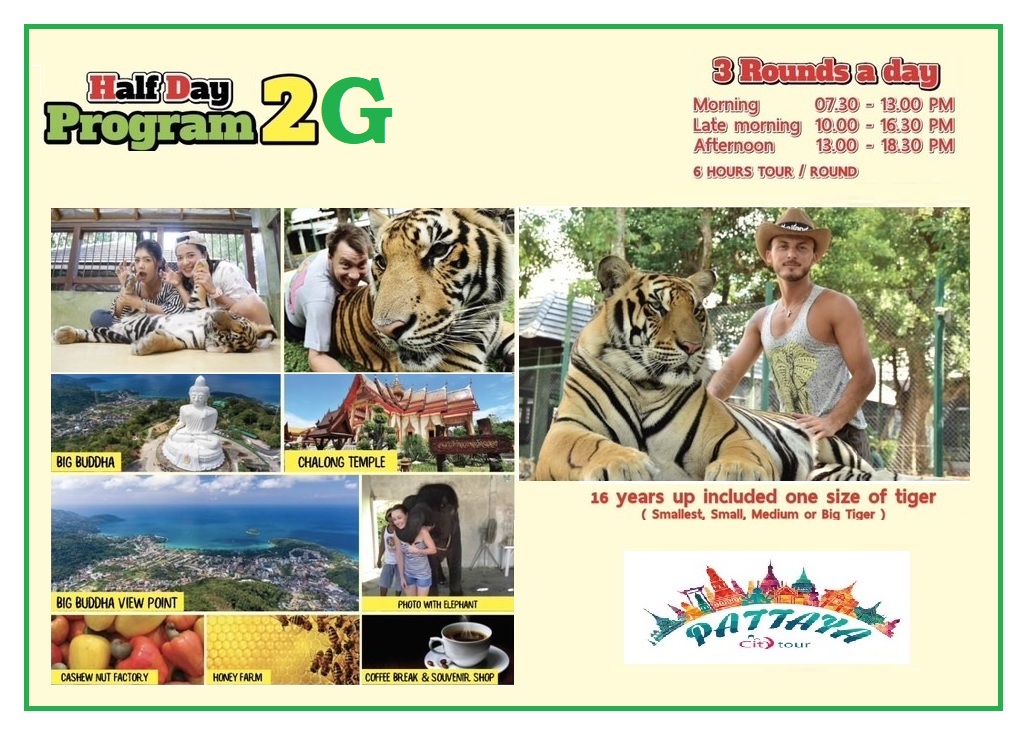 Program : 2 - Tiger Kingdom + Big Buddha + Chalong Temple + Take Photo With Elephant Baby + Cashew Nut Factory + Honey Farm + Hotel Transfer