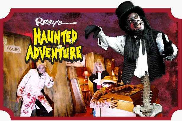 5 Attractions + Free Alcazar Show Ticket image