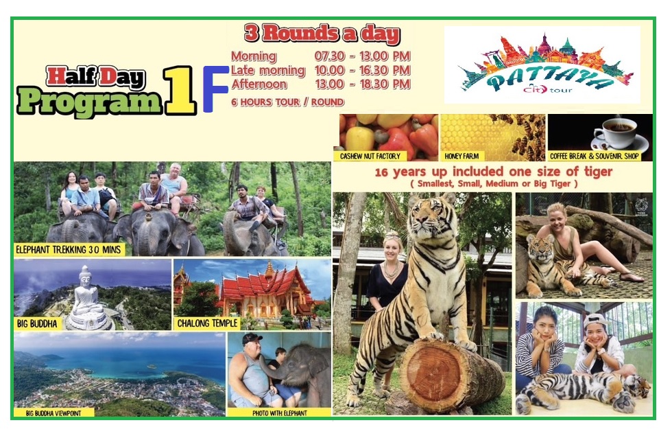 Program : 1 - Elephant Trekking + Tiger Kingdom + Big Buddha + Chalong Temple + Take Photo With Elephant Baby + Cashew Nut Factory + Honey Farm + Hotel Transfer