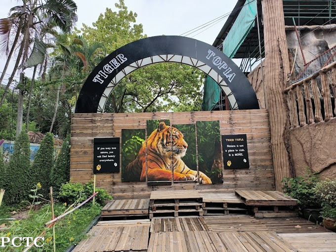 pattaya-hotel-to-tiger-topia-sriracha-zoo-to-bangkok-hotel-drop-private-5105.jpg